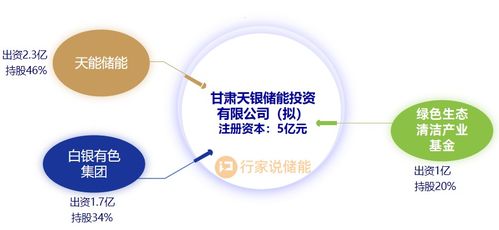 儲能產業爆發式增長 2024年日增205家新公司，超7千家入局，大數據賦能行業新生態