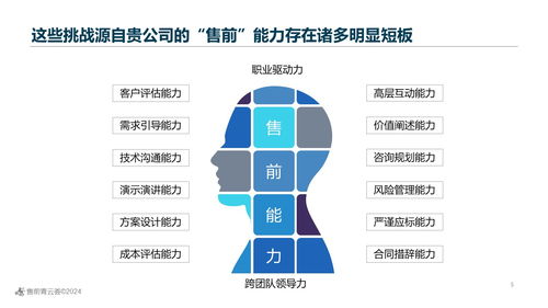 專業售前工程師實戰寶典 從入門到精通的大數據處理